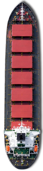 Bulk Carrier